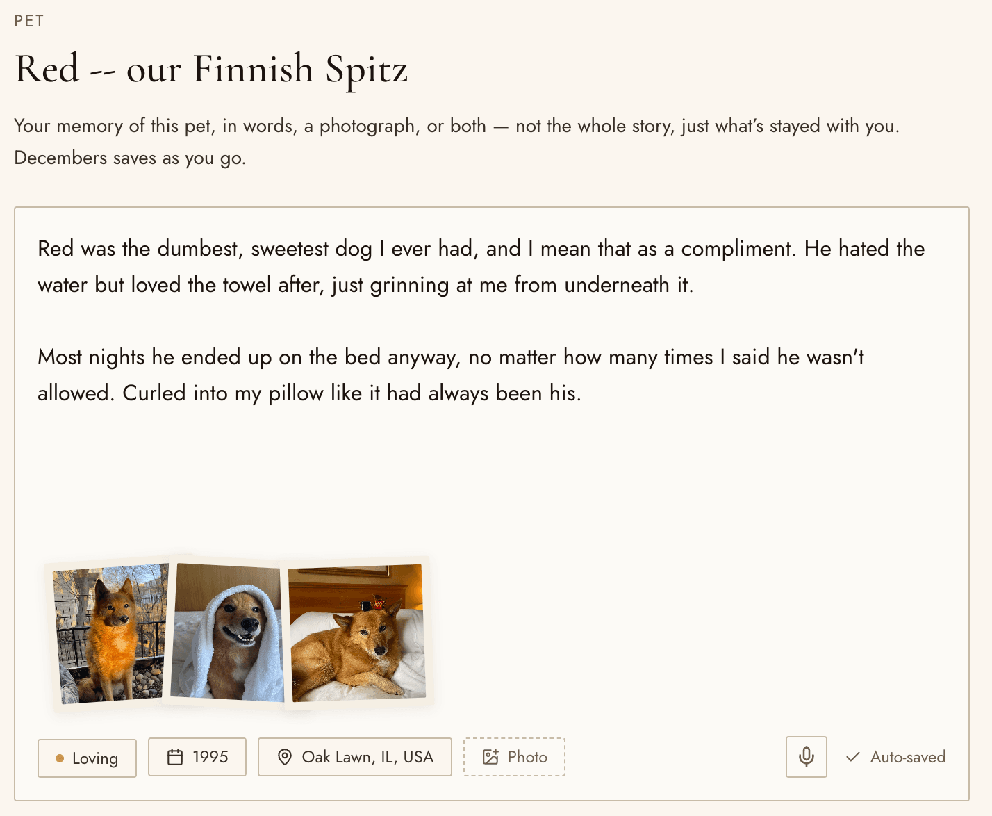 The memory editor — an open text field for the Keeper's own words, plus detail chips for feeling, year, place, and photo.